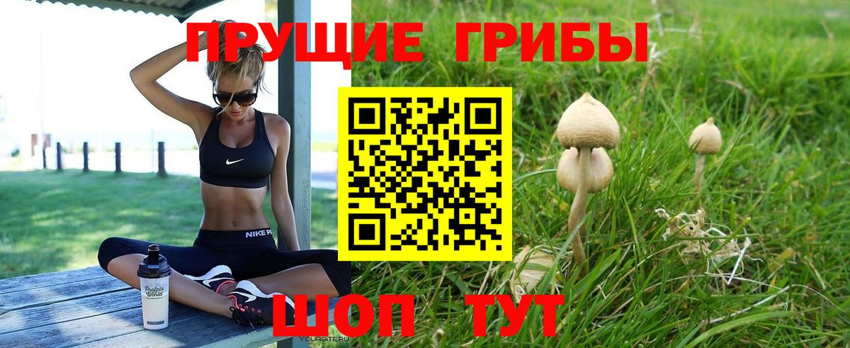 Псилоцибиновые грибы MAGIC MUSHROOMS Чебоксары