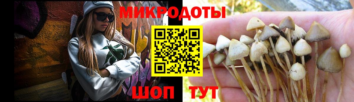 Галлюциногенные грибы Psilocybe  Галлюциногенные грибы мухоморы  Чебоксары  Вход с VPN 